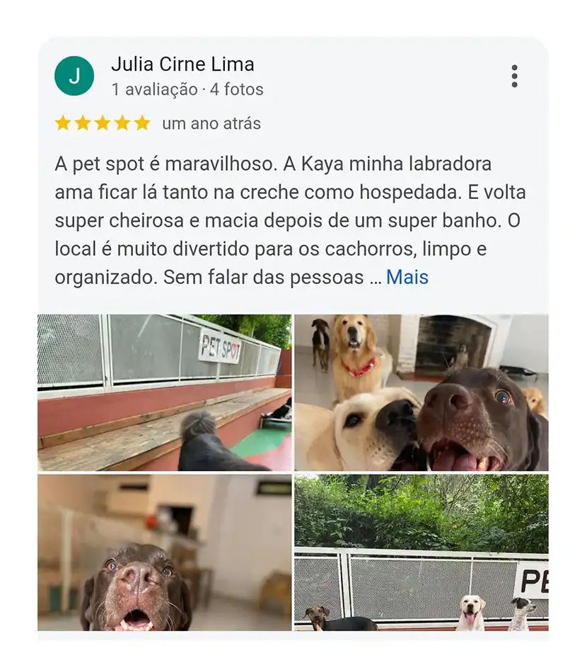 Avaliação 5 estrelas Pet Spot