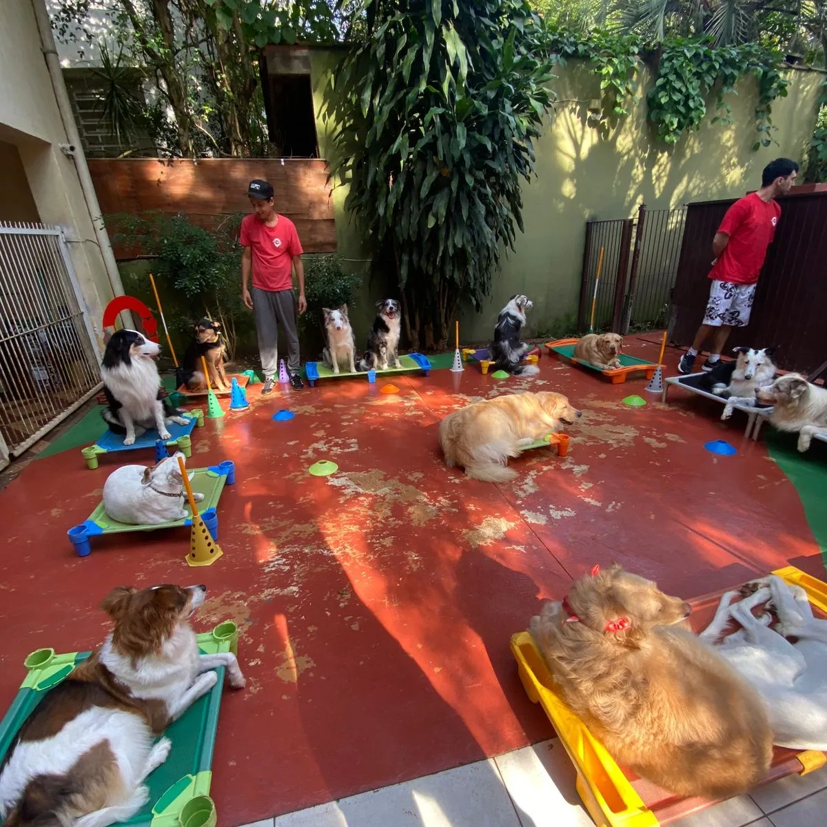 Estrutura da creche Pet Spot